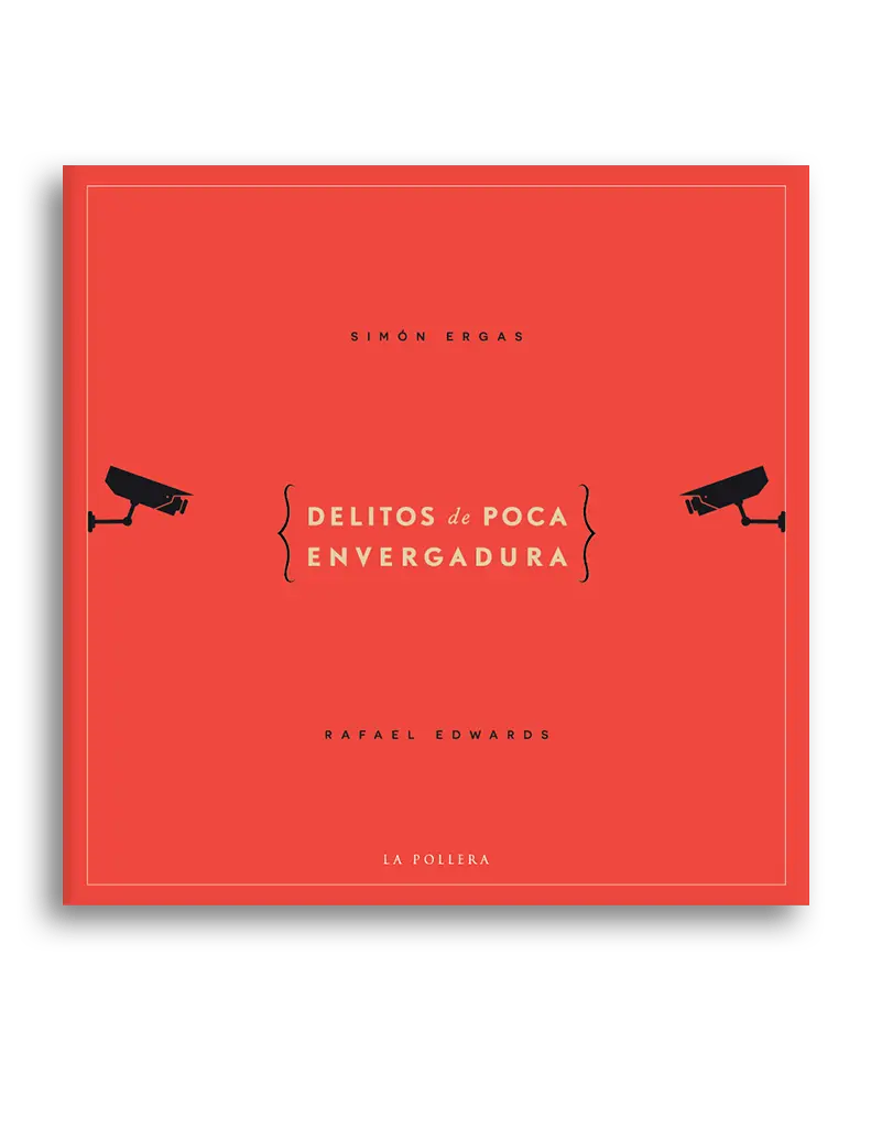 Delitos de poca envergadura