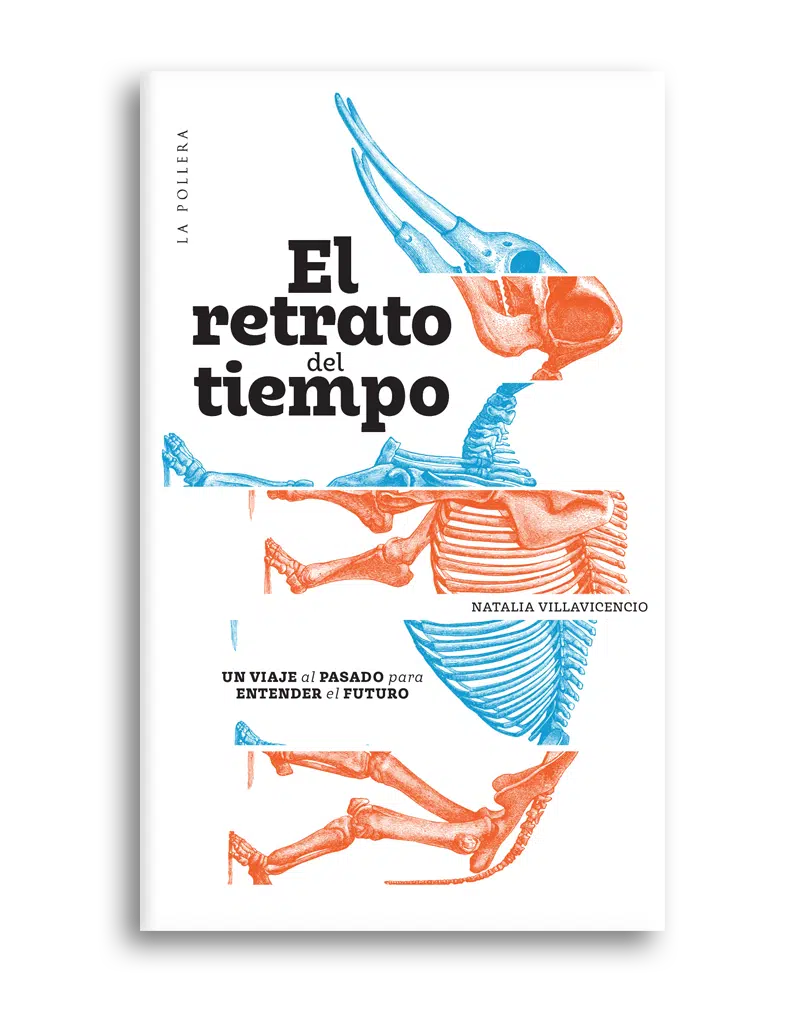 retrato del tiempo, el